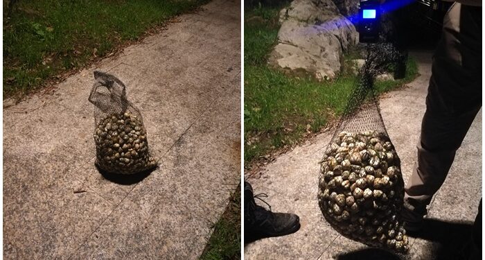 Vuelven a ‘pillar’ a los furtivos de Teis, esta vez con 16 kilos de marisco