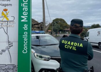 Investigado por matar a un perro de un disparo