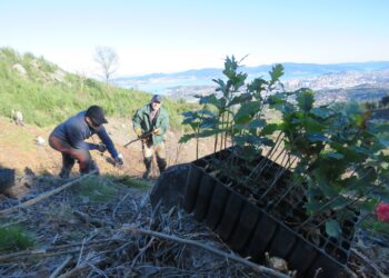Los montes de Vigo harán su propio ‘anillo verde’: «Esto es mucho más amplio y ambicioso»