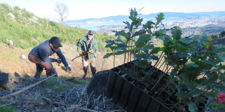 Los montes de Vigo harán su propio ‘anillo verde’: «Esto es mucho más amplio y ambicioso»
