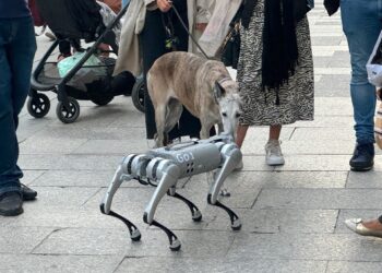 A su imagen y semejanza