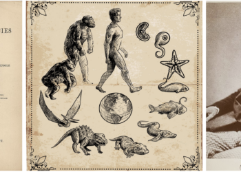 ‘El origen de las especies’: 165 años del libro que revolucionó el mundo
