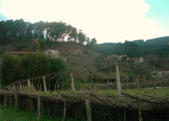 Más de 300 alegaciones dicen ‘no’ al parque eólico Coto dos Lobos