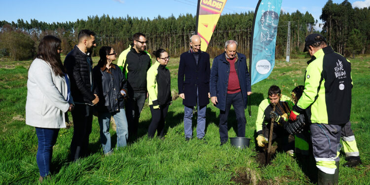Gadis y Amicos aúnan fuerzas en el proyecto de integración social Bosque Gadis