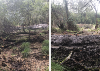 Los comuneros de Cabral ya abonaron la multa por la «desfeita» en el río Lagares