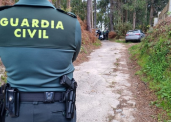 Investigan un posible homicidio por violencia de género