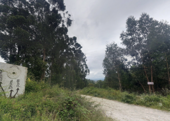 Rescatan a un ciclista que se precipitó 50 metros en el Monte Aloia