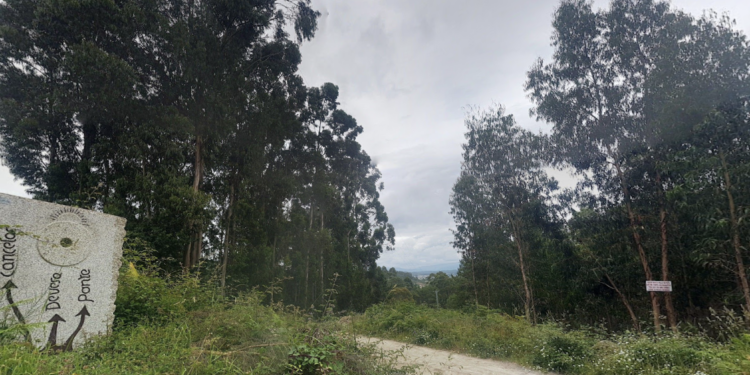 Rescatan a un ciclista que se precipitó 50 metros en el Monte Aloia