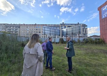 O Porriño estreará moi pronto un gran parque canino