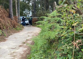 Investigan un posible homicidio por violencia de género