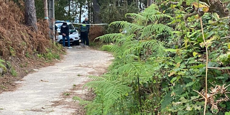 Investigan un posible homicidio por violencia de género