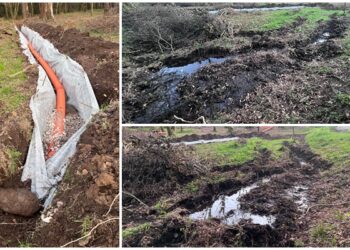Denuncian el «enésimo ataque» a un espacio de alto valor natural