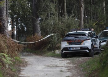 Investigan un posible homicidio por violencia de género