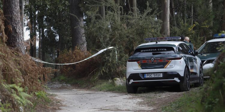 Investigan un posible homicidio por violencia de género