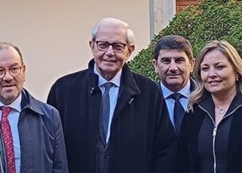 «Teníamos un proyecto público y con más camas»