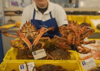 ¡Navidad a precios de lujo! Los alimentos navideños se disparan