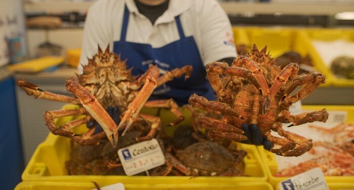 ¡Navidad a precios de lujo! Los alimentos navideños se disparan