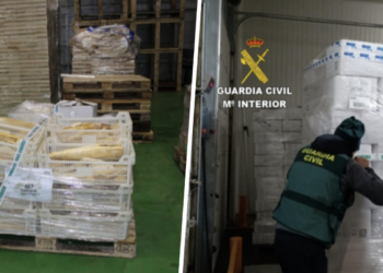 La Guardia Civil decomisa 270 toneladas de pescado, marisco y pulpo congelado