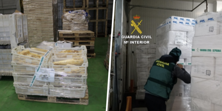 La Guardia Civil decomisa 270 toneladas de pescado, marisco y pulpo congelado