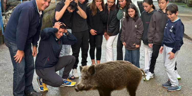 Curiosidad y asombro en Bouzas: la insólita mascota del equipo de regatas del Club Marítimo de Canido