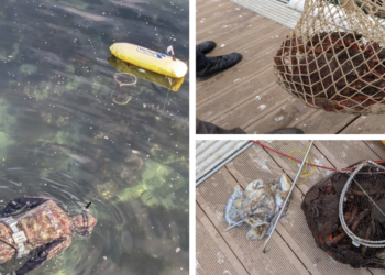 Cazados dos buzos furtivos en Toralla con marisco, pulpo y chocos