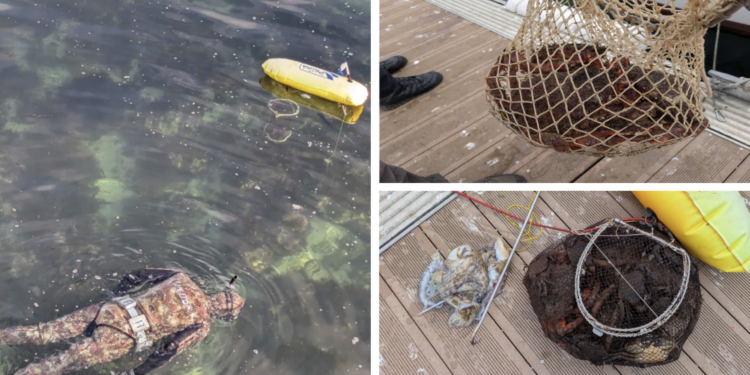 Cazados dos buzos furtivos en Toralla con marisco, pulpo y chocos