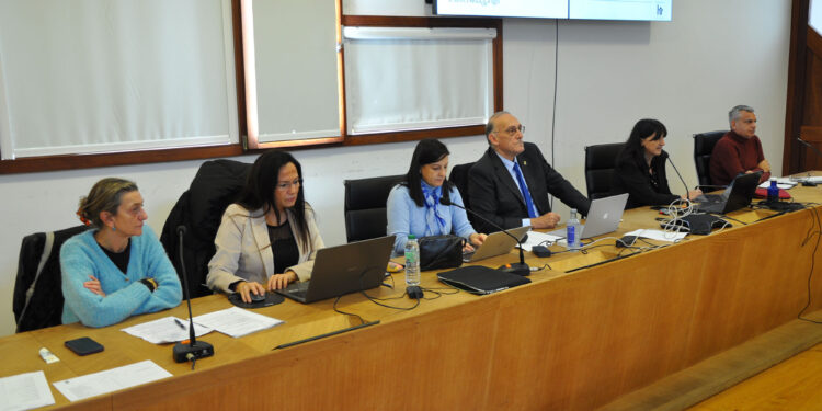 La UVigo trabaja ya en la puesta en marcha de 11 nuevas titulaciones