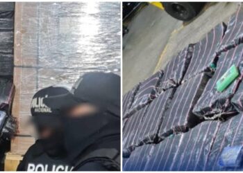 En latas de atún: así venía al Puerto de Vigo un cargamento de cocaína