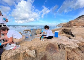 Un estudio aborda los efectos de la crema solar en el mar