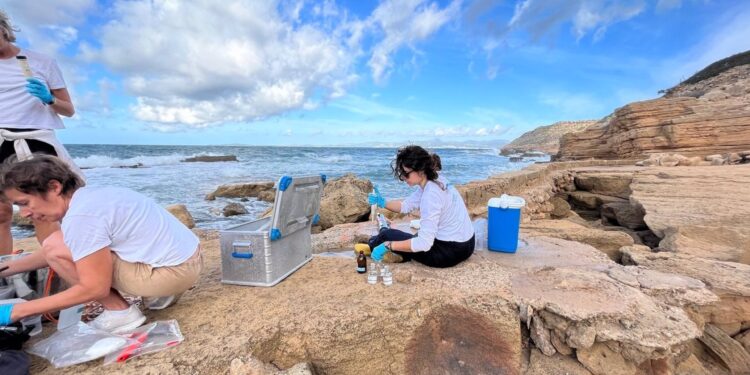 Un estudio aborda los efectos de la crema solar en el mar