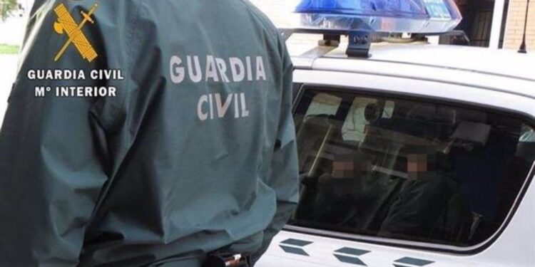 Localizan un galpón con 120 plantas de marihuana y toda la maquinaria para su cultivo