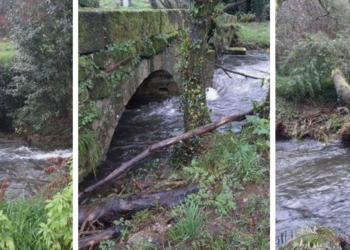 Batalla contra el bambú negro que invade el río Furnia
