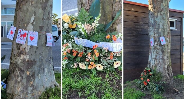 Mensajes de amor y coronas de flores para los plataneros de Canido: «Árbores asasinadas»