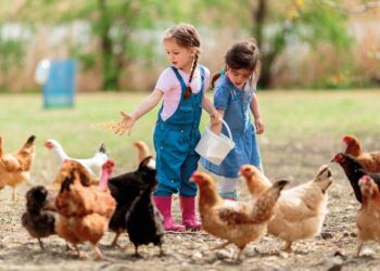 Abre el plazo para visitar las Granja Escuela