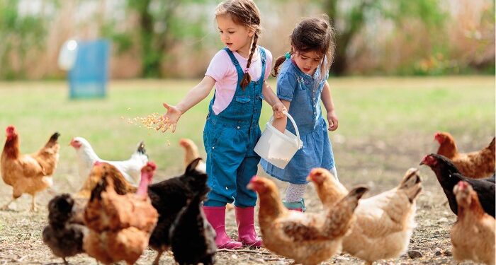 Abre el plazo para visitar las Granja Escuela