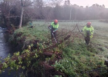 El río Miñor se libra de maleza y árboles caídos a su paso por Gondomar