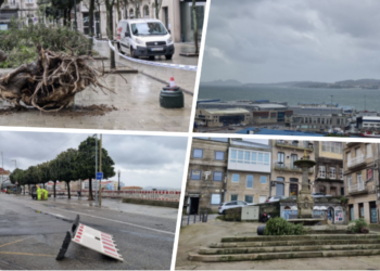 «Herminia» azota Galicia con 1.400 incidencias, entre ellas la pérdida de un árbol histórico en Vigo y dos kayaks derribados en Rande