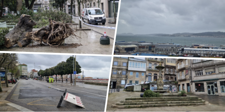«Herminia» azota Galicia con 1.400 incidencias, entre ellas la pérdida de un árbol histórico en Vigo y dos kayaks derribados en Rande