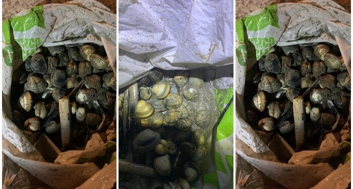 Año nuevo… viejas prácticas: vuelven a cazar a dos furtivos en Teis