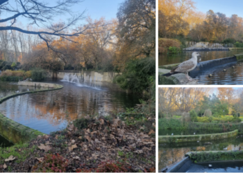 El lago artificial de Castrelos entra (de refilón) en los planes del Concello