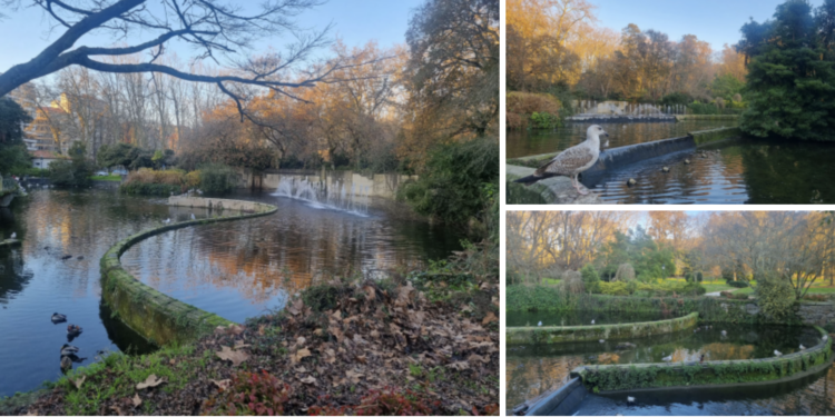 El lago artificial de Castrelos entra (de refilón) en los planes del Concello