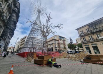Una propuesta para Porta do Sol tras el «falso bosque de luces» de la Navidad de Vigo: árboles vivos