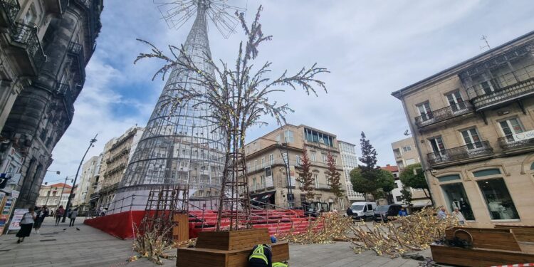 Una propuesta para Porta do Sol tras el «falso bosque de luces» de la Navidad de Vigo: árboles vivos