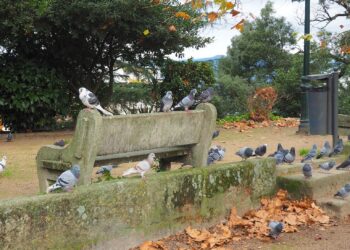 Preparadas para un bocado