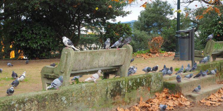 Preparadas para un bocado