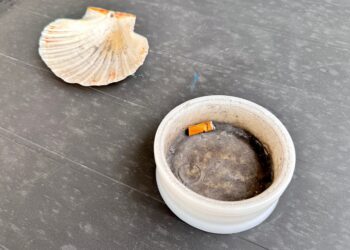 Propósitos para un nuevo año