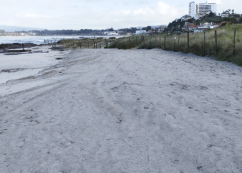 La playa del Breadouro se regenera con la arena de una antigua duna de Vigo