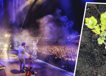 PortAmérica reúne a más de 300 voluntarios en su jornada anual de reforestación