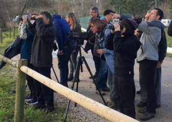 ¡Ojo, que vuelan! Este lunes se abre el plazo para la primera ruta de Voando nas Rías Baixas
