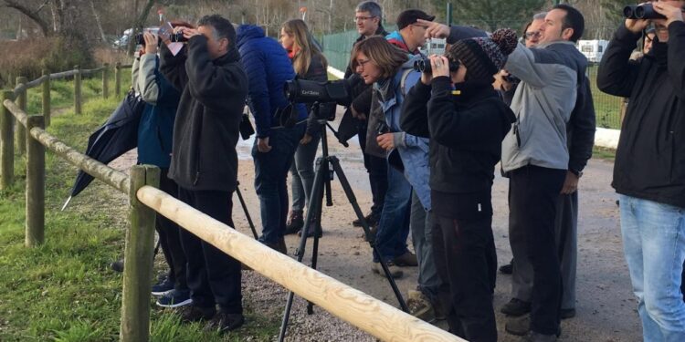 ¡Ojo, que vuelan! Este lunes se abre el plazo para la primera ruta de Voando nas Rías Baixas
